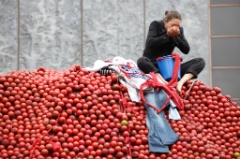An Apple a day 15 * 5616 x 3744 * (6.61MB)